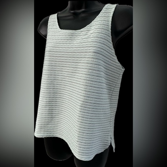Express | NWOT Wide Sheer Sleeveless Blouse. Light horizontal stripes - Picture 15 of 16